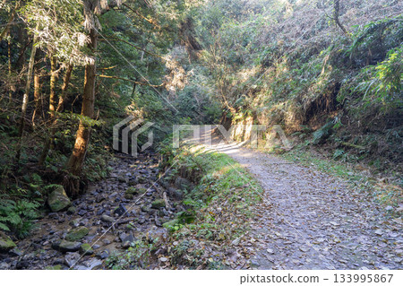 權現川健行路線(大阪府四畑市) 權現川健行路線(大阪府四畑市) 133995867