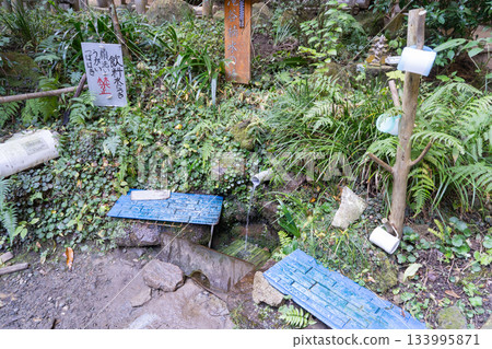 瀧屋楠瀑布（大阪府大東市） 133995871
