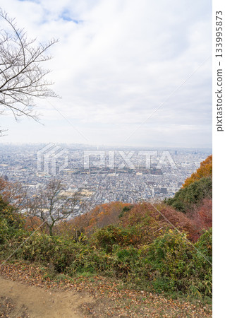 從飯盛山山頂觀景台眺望的景色（大阪府大東市河內市） 133995873