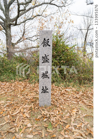 The summit of Mt. Iimori in Kawachi (Daito City, Osaka Prefecture) 133995876