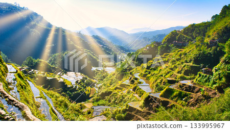 Spectacular views of the Cordillera Rice Terraces, a World Heritage Site Spectacular views of the Cordillera Rice Terraces, a World Heritage Site 133995967