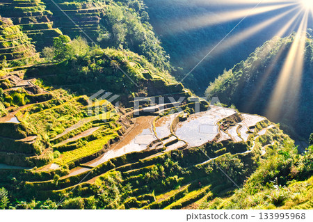 Spectacular views of the Cordillera Rice Terraces, a World Heritage Site 133995968
