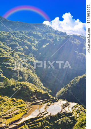 壯麗的科迪勒拉梯田景色，世界遺產 133995971