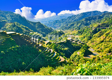 Spectacular views of the Cordillera Rice Terraces, a World Heritage Site Spectacular views of the Cordillera Rice Terraces, a World Heritage Site 133995974