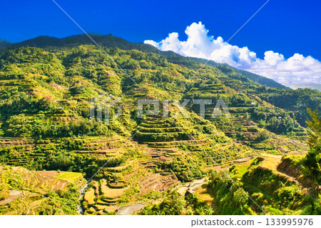 壯麗的科迪勒拉梯田景色,世界遺產 壯麗的科迪勒拉梯田景色,世界遺產 133995976