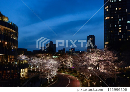 東京中城櫻（燈光秀） 133996806