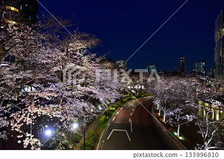 Tokyo Midtown Cherry Blossom Trees (Illuminated) 133996810