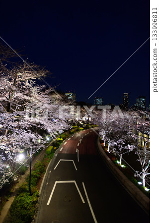 東京中城櫻（燈光秀） 133996811