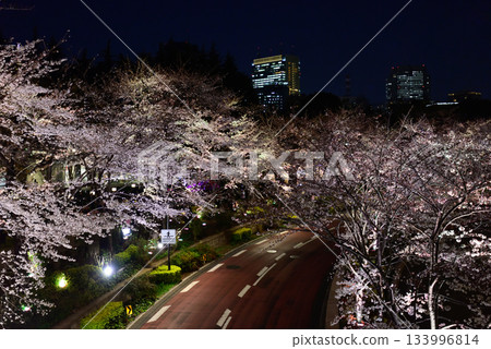 Tokyo Midtown Cherry Blossom Trees (Illuminated) 133996814