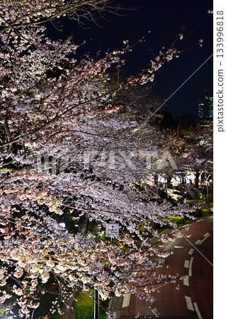 東京中城櫻（燈光秀） 133996818