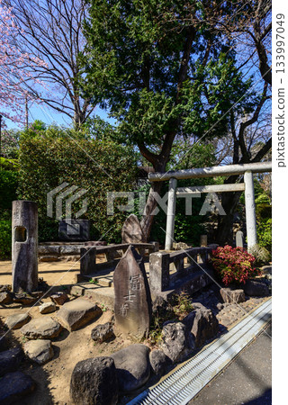 護國寺音羽藤塚（Fujizuka） 133997049