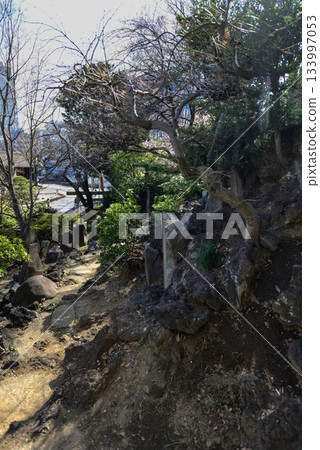護國寺音羽藤塚(Fujizuka) 護國寺音羽藤塚(Fujizuka) 133997053