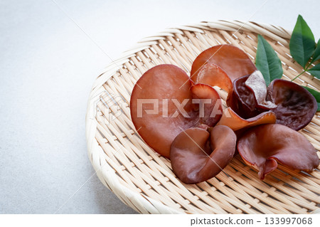 活木耳菇 133997068