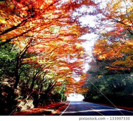Autumn leaves in Kirishima-Kinkowan National Park Autumn leaves in Kirishima-Kinkowan National Park 133997330