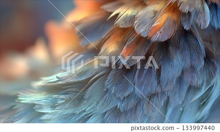 羽毛特寫，藍橙漸變，微距攝影 133997440