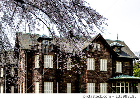 Former Furukawa Gardens: Western-style building and cherry blossoms 133998183
