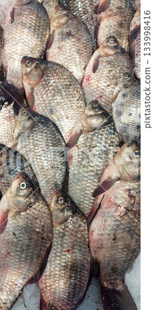A closeup of several fresh, silver-scaled fish, likely carp or crucians, tightly packed and displayed on a bed of crushed ice at a market A closeup of several fresh, silver-scaled fish, likely carp or crucians, tightly packed and displayed on a bed of crushed ice at a market 133998416