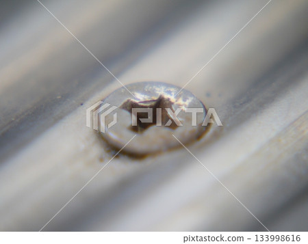 A small screw attached to the anti-slip device on an emergency staircase A small screw attached to the anti-slip device on an emergency staircase 133998616