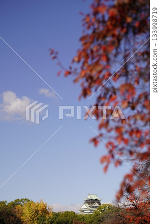 Autumn leaves and blue sky, Osaka Castle in the distance Autumn leaves and blue sky, Osaka Castle in the distance 133998719