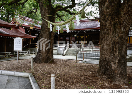 Meiji Jingu Shrine 133998863