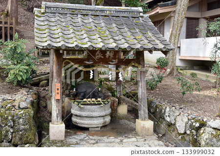 Kyoto Matsuo Taisha Shrine Kamenoi Kyoto Matsuo Taisha Shrine Kamenoi 133999032