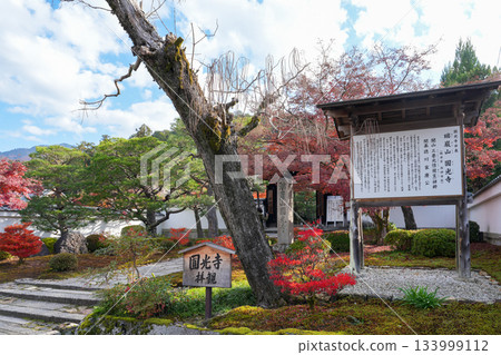 京都一乘寺瑞嚴山圓光寺（德川家康創建）拍攝於 2025 年秋季 133999112