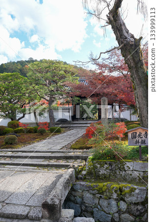 京都一乘寺瑞嚴山圓光寺（德川家康創建）拍攝於 2025 年秋季 133999113