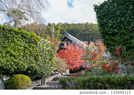 Zuiganzan Enkoji Temple in Ichijoji, Kyoto (founded by Tokugawa Ieyasu) photographed in autumn 2025 133999115