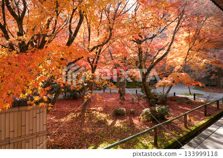 Zuiganzan Enkoji Temple in Ichijoji, Kyoto (founded by Tokugawa Ieyasu) photographed in autumn 2025 133999118