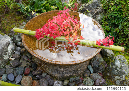 京都一乘寺瑞嚴山圓光寺(德川家康創建)拍攝於 2025 年秋季 京都一乘寺瑞嚴山圓光寺(德川家康創建)拍攝於 2025 年秋季 133999123