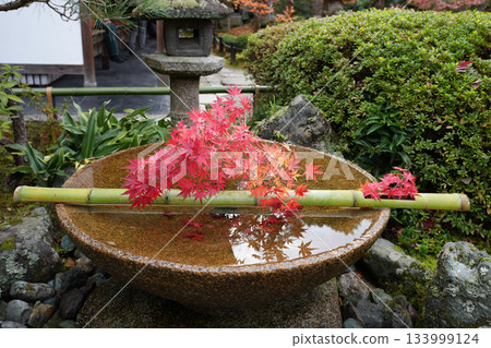 Zuiganzan Enkoji Temple in Ichijoji, Kyoto (founded by Tokugawa Ieyasu) photographed in autumn 2025 133999124