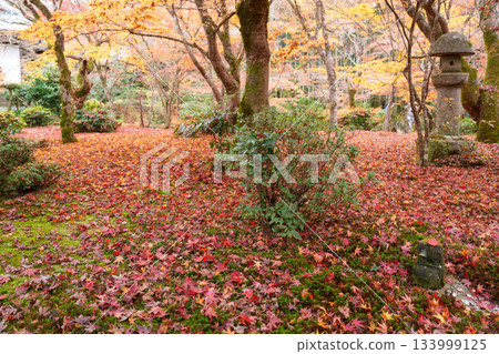 Zuiganzan Enkoji Temple in Ichijoji, Kyoto (founded by Tokugawa Ieyasu) photographed in autumn 2025 133999125