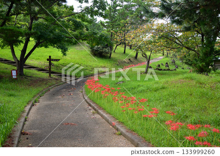 前往旅行:白良濱萬葉公園#12 前往旅行:白良濱萬葉公園#12 133999260