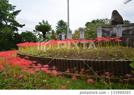前往旅行：白良濱萬葉公園#17 133999265