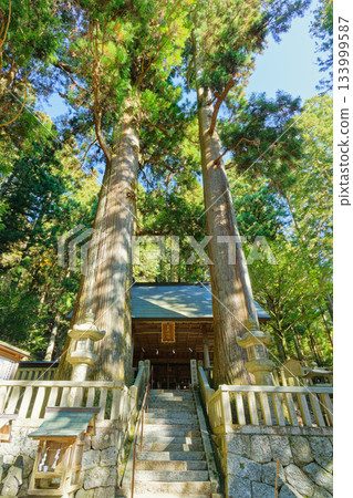 A view of the cedar forest and two cedar trees between the stone steps and shrine building of Ena Shrine in Gifu Prefecture 133999587