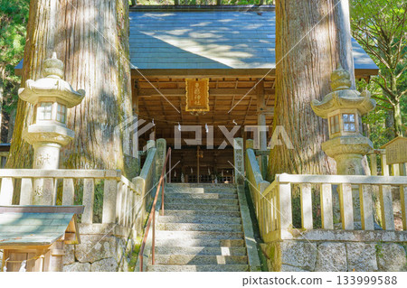 A view of the main shrine and large cedar tree of Ena Shrine in Gifu Prefecture, sandwiched between stone steps and stone lanterns 133999588