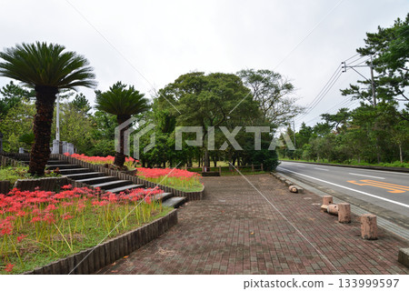 Goto Travel: Shiraragahama Manyo Park #26 Goto Travel: Shiraragahama Manyo Park #26 133999597
