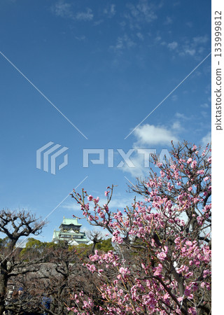 Plums of Osaka Castle 133999812