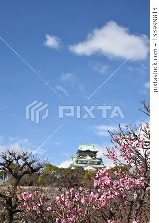 Plums of Osaka Castle 133999813