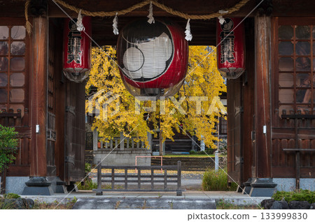Ohatsuki ginkgo tree standing beyond the temple gate Ohatsuki ginkgo tree standing beyond the temple gate 133999830