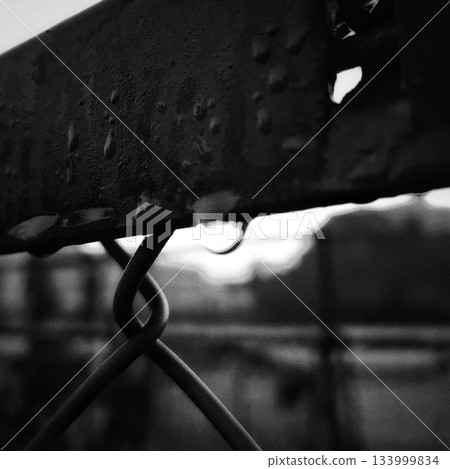 Drops and wire mesh after the rain (monochrome) 133999834
