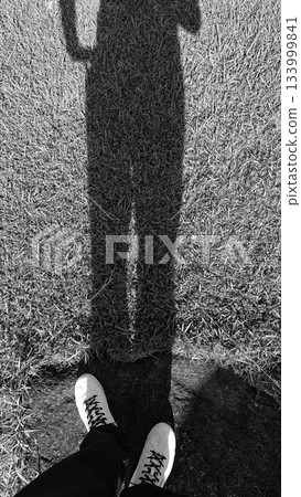 草地上長長的影子和運動鞋（單色） 133999841