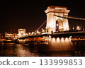 [布達佩斯] 夜幕下的塞切尼鏈橋 133999853