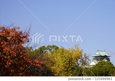 Autumn leaves and blue sky, Osaka Castle in the distance 133999961