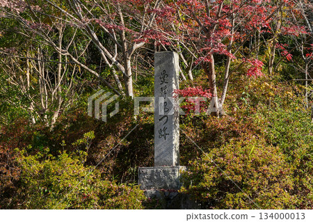 京都一乘寺萬朱院門跡（攝於2025年12月） 134000013