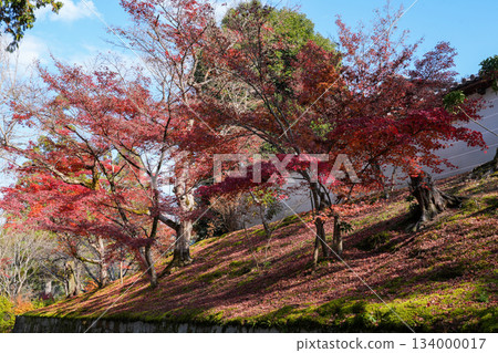 Manshuin Monzeki Temple at Ichijoji Temple in Kyoto (photographed in December 2025) 134000017