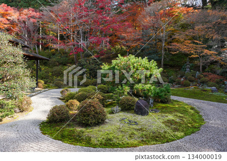 京都一乘寺萬朱院門跡（攝於2025年12月） 134000019