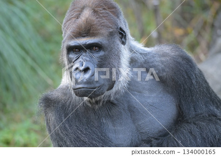 這種姿勢可能對我的背部不好，但我覺得很放鬆。 134000165