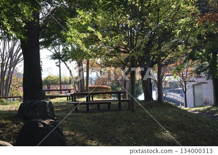 公園景色,綠樹成蔭,綠地上擺放著桌椅。 公園景色,綠樹成蔭,綠地上擺放著桌椅。 134000313