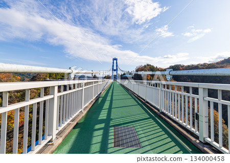 Ryujin Large Suspension Bridge Ryujin Large Suspension Bridge 134000458